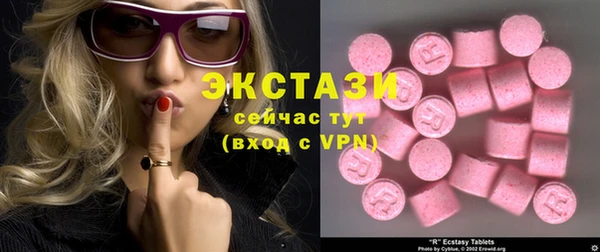 ECSTASY Богородицк