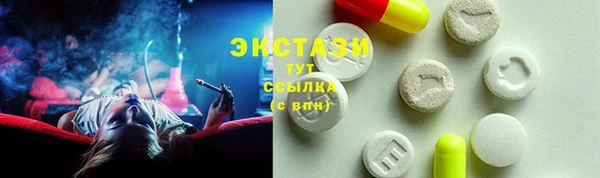 ECSTASY Богородицк